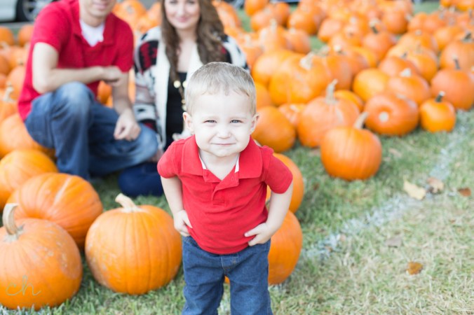pumpkin patch houston