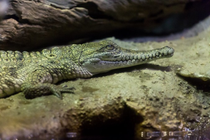 wine and wildlife-12