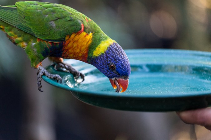 wine and wildlife-14