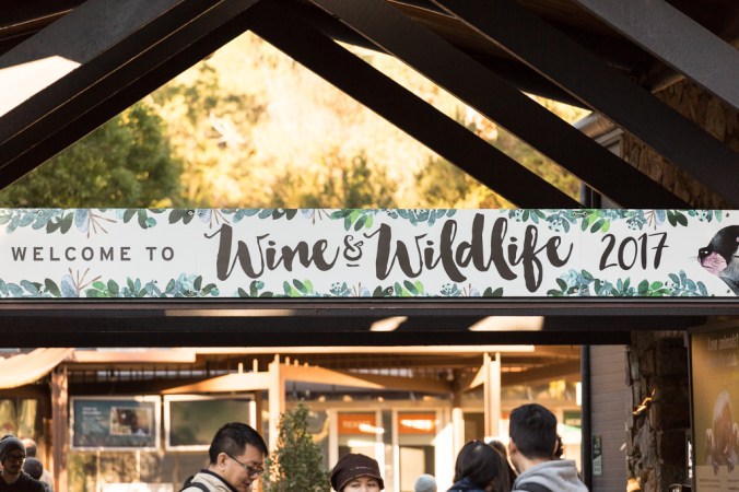 wine and wildlife-16