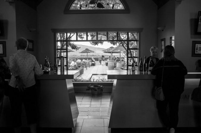 winery in waipara valley NZ