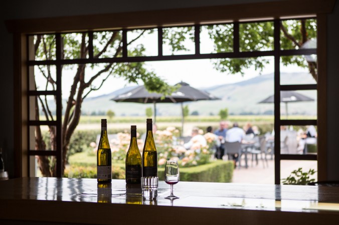 wine bottles and glass in winery