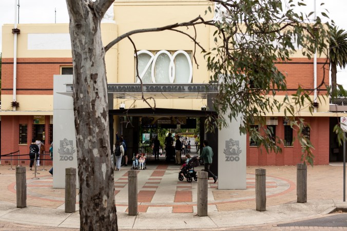 melb zoo-1